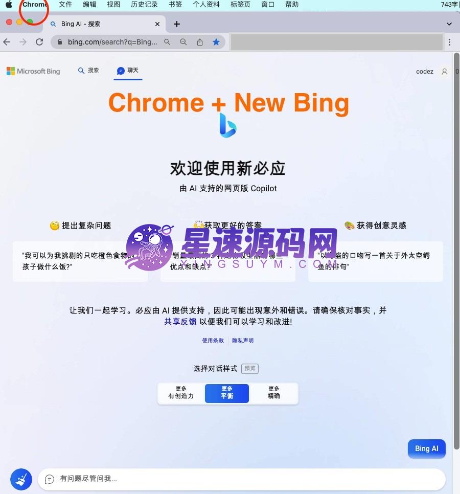 微软New Bing完美聊天机器人源码，支持ChatGPT提示词 国内可用，基本兼容微软 Bing AI 所有功能插图